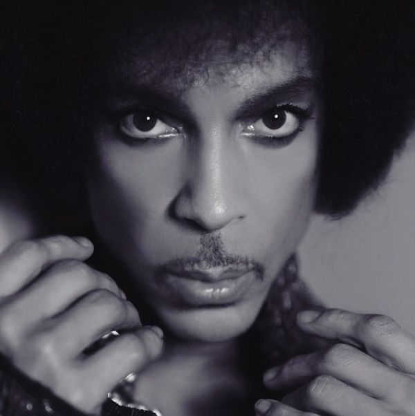 Prince Closeup - Photo by Madison Dube