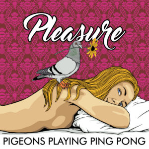 pigeons-playing-ping-pong-pleasure